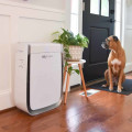 The Best Air Purifiers Recommended by Experts