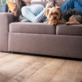The Ultimate Guide to Choosing the Best Air Purifier for Your Home